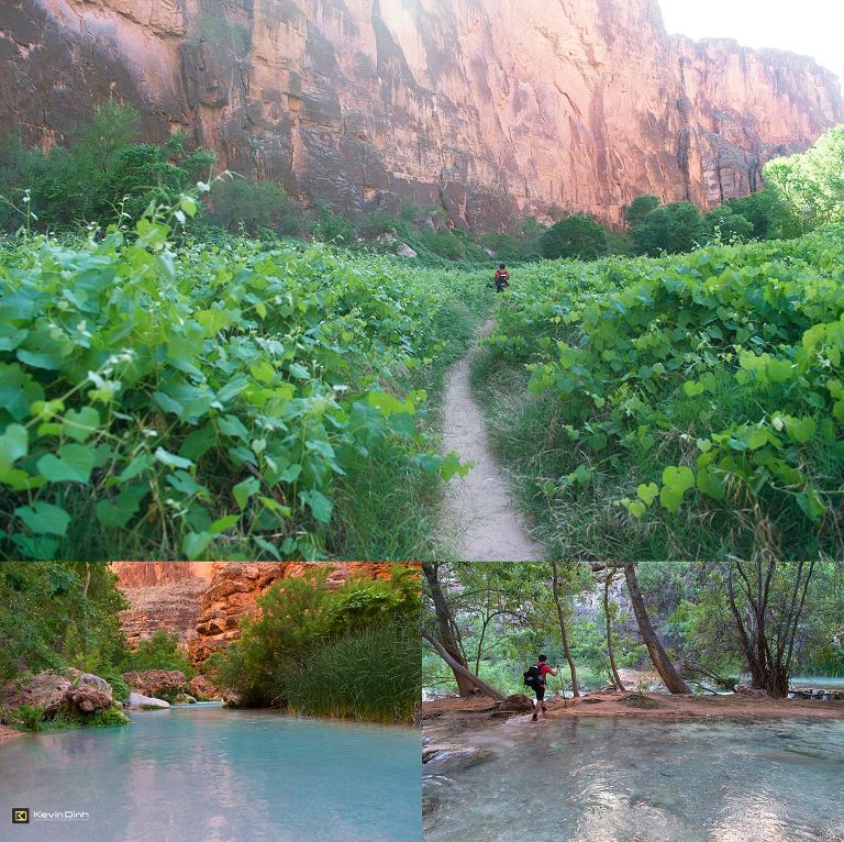 Havasu_Falls_2016-128