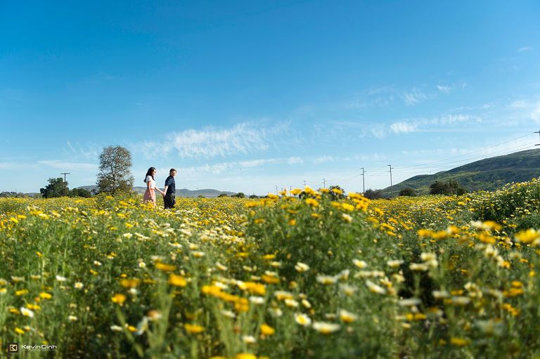 san juan capistrano engagement