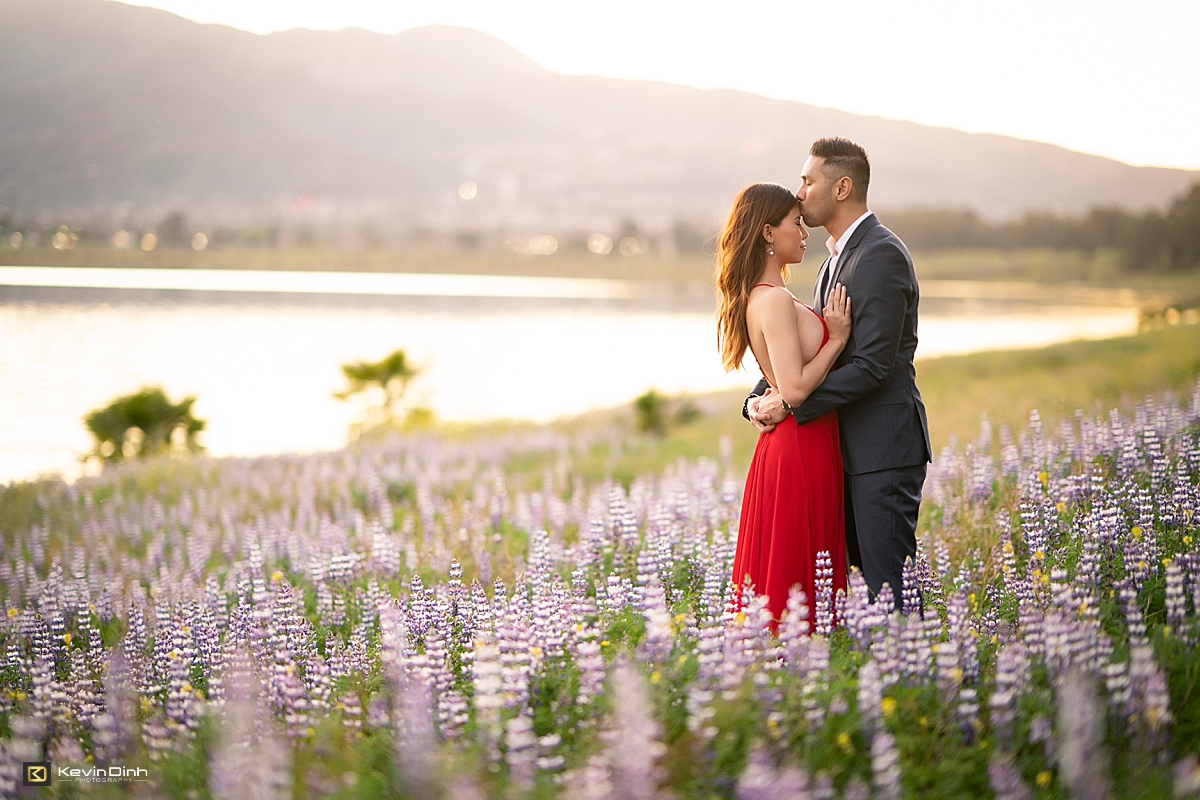 Lake Elsinore lavender fields