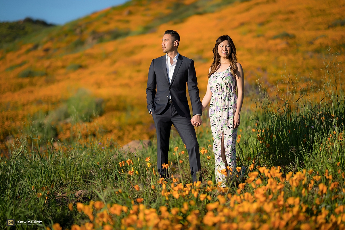 Walker Canyon super bloom Lake Elsinore