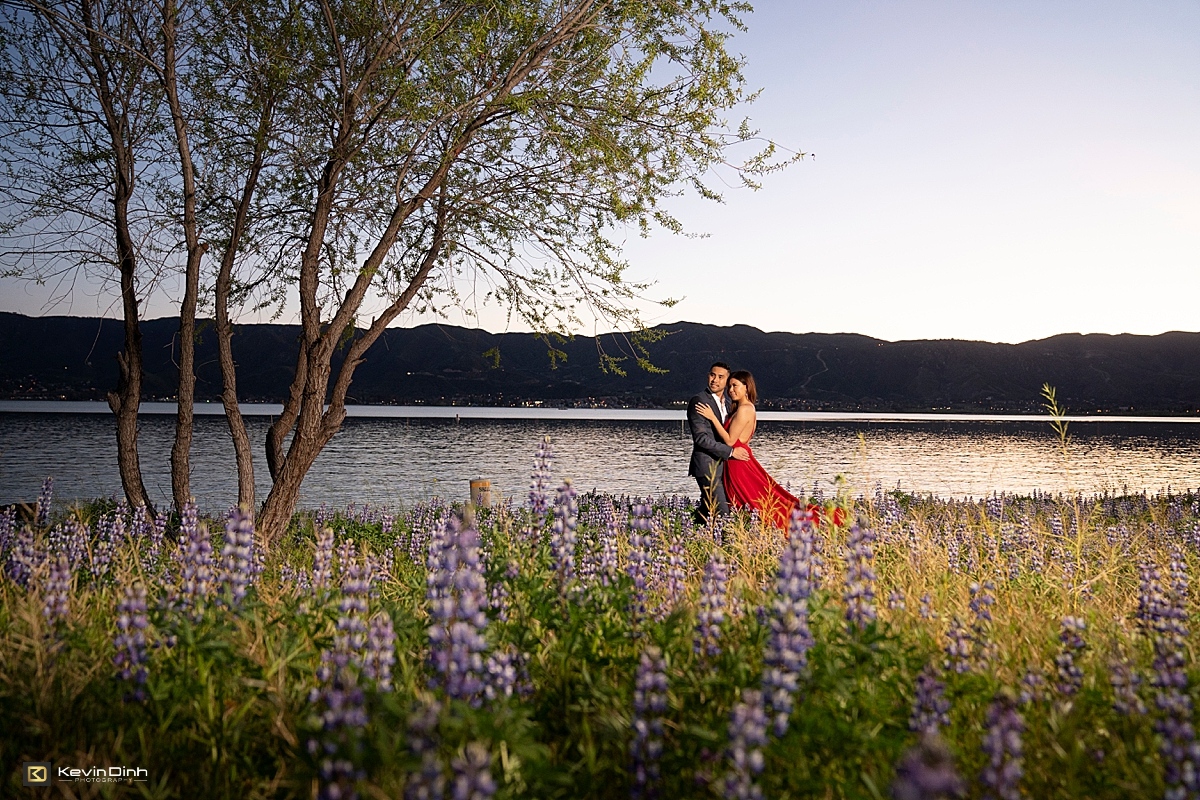 Lake Elsinore super bloom engagement