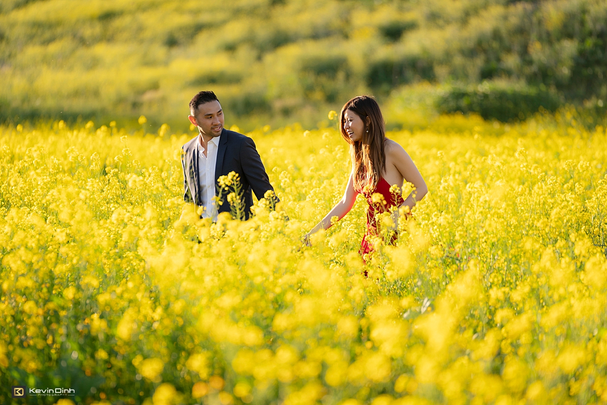 yellow poppies spring engagement